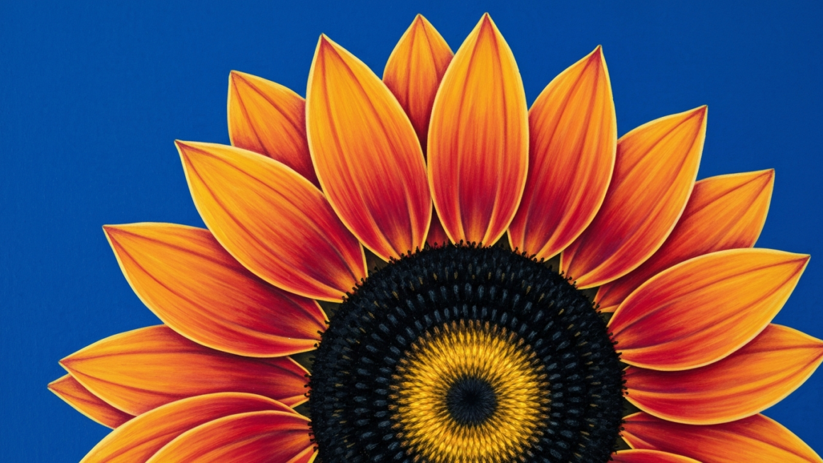 Best Comment for Couples Post – Cute, Romantic & Trendy Ideas (2026 Guide)