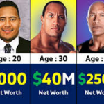 the rock net worth